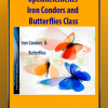 Iron Condors and Butterflies Class - Optionelements