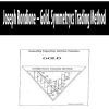 Joseph Rondione – Gold. Symmetrycs Trading Method