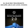 Roy Dean – BJJ Blue Belt Requirements (Escapes, Arm & Leg Locks, Chokes)