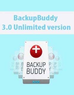 BackupBuddy 3.0 Unlimited version