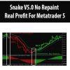 Snake V5.0 No Repaint Real Profit For Metatrader 5