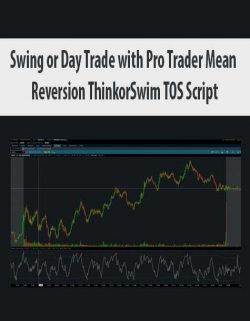 Swing or Day Trade with Pro Trader Mean Reversion ThinkorSwim TOS Script