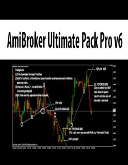 [Download Now] AmiBroker Ultimate Pack Pro v6.20.1 x64 (Feb 2017)