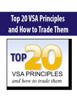 [Download Now] Top 20 VSA Principles & How to Trade Them