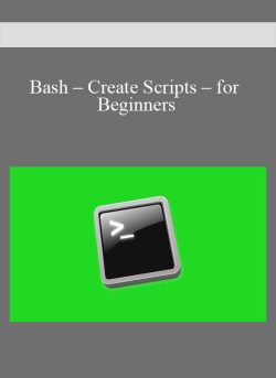 Bash – Create Scripts – for Beginners