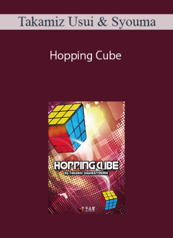 Takamiz Usui & Syouma – Hopping Cube
