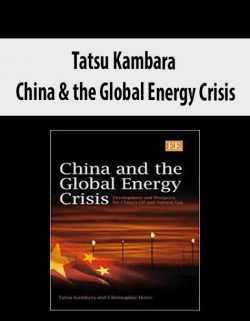 Tatsu Kambara – China & the Global Energy Crisis