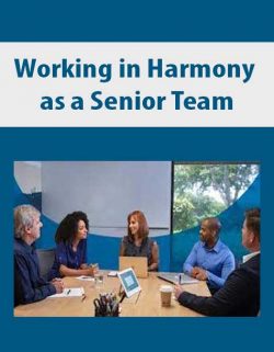 Working in Harmony as a Senior Team