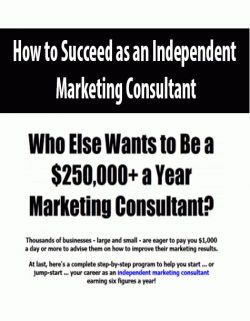 How to Succeed as an Independent Marketing Consultant