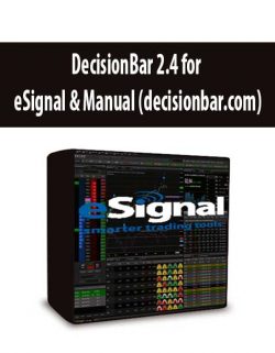 DecisionBar 2.4 for eSignal & Manual (decisionbar.com)