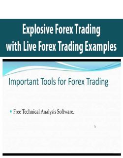Explosive Forex Trading with Live Forex Trading Examples