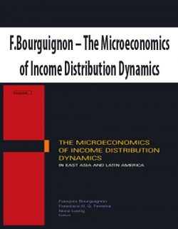 F.Bourguignon – The Microeconomics of Income Distribution Dynamics