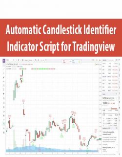 Automatic Candlestick Identifier Indicator Script for Tradingview
