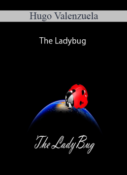 Hugo Valenzuela – The Ladybug