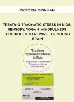 Treating Traumatic Stress in Kids: Sensory, Yoga & Mindfulness Techniques to Rewire the Young Brain – Victoria Grinman