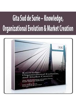 Gita Sud de Surie – Knowledge, Organizational Evolution & Market Creation