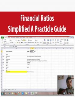 Financial Ratios Simplified A Practicle Guide