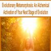Evolutionary Metamorphosis: An Alchemical Activation of Your Next Stage of Evolution