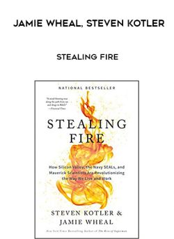 Jamie Wheal. Steven Kotler – Stealing Fire