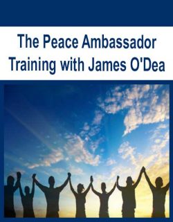 The Peace Ambassador Training with James O'Dea