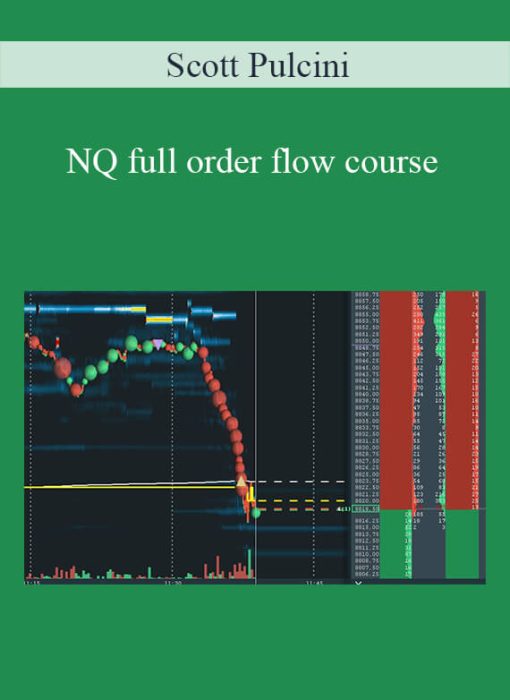 Scott Pulcini – NQ full order flow course