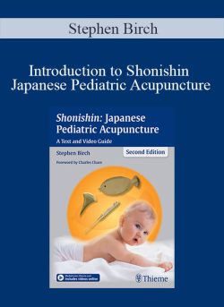 Stephen Birch - Introduction to Shonishin Japanese Pediatric Acupuncture