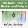 Terry Wahls - How To Heal Adrenal Fatigue