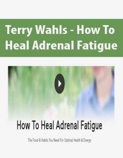 Terry Wahls - How To Heal Adrenal Fatigue