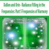 DaBen and Orin - Radiance Filling in the Frequencies: Part 5 Frequencies of Harmony