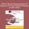 [Audio] BT02 Clinical Demonstration 09 - Hypnosis and Goal-Oriented Therapy - Michael Yapko