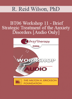 [Audio] BT06 Workshop 11 - Brief Strategic Treatment of the Anxiety Disorders - R. Reid Wilson