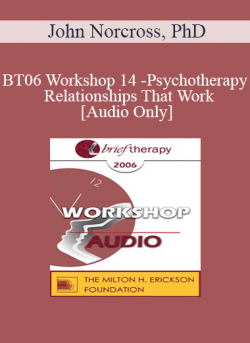 [Audio] BT06 Workshop 14 - Psychotherapy Relationships That Work: Tailoring the Relationship to the Individual Patient - John Norcross