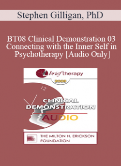 [Audio] BT08 Clinical Demonstration 03 - Connecting with the Inner Self in Psychotherapy - Stephen Gilligan