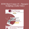 [Audio] BT08 Short Course 19 - Therapist Sculpting - Lilian Borges
