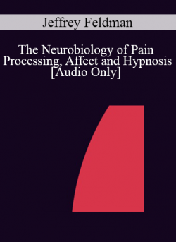 [Audio] IC04 Workshop 12 - The Neurobiology of Pain Processing