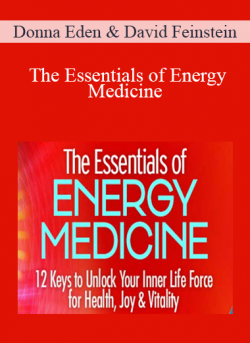 The Essentials of Energy Medicine - Donna Eden & David Feinstein