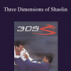 Vitor Shaolin Ribeiro - Three Dimensions of Shaolin